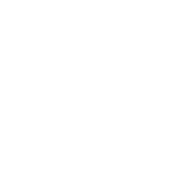 A custom dashboard to view and monitor your budget online 24/7